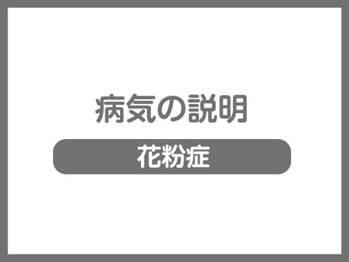 花粉症と口腔アレルギー 伊丹市の眼科 宮の前眼科 白内障手術 硝子体手術 斜視手術